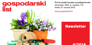 Newsletter 6/2016
