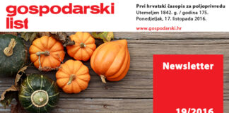 Newsletter 19/2016