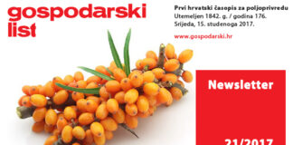 Newsletter 21/2017