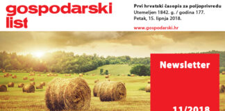 Newsletter 11/2018