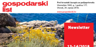 Newsletter 13-14/2018