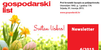 Newsletter 6/2015