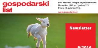 Newsletter 9/2016
