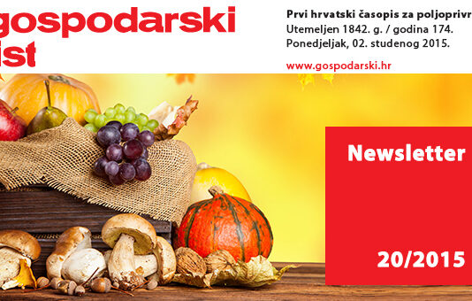 Newsletter 20/2015