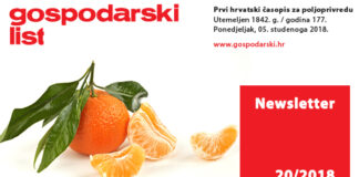 Newsletter 20/2018