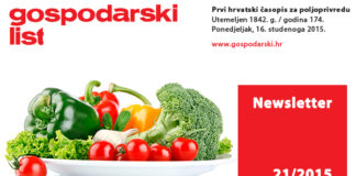 Newsletter 21/2015