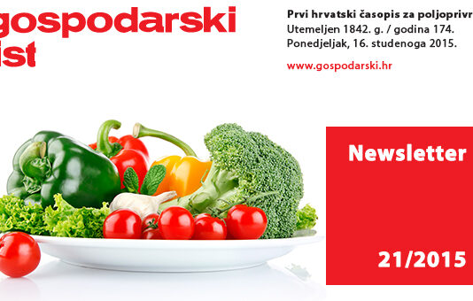 Newsletter 21/2015