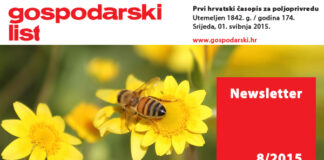 Newsletter 8/2015