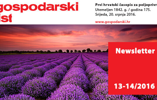 Newsletter 13-14/2016