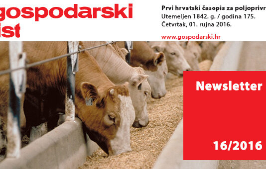 Newsletter 16/2016