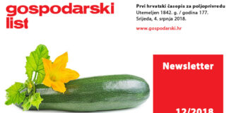 Newsletter 12/2018