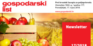 Newsletter 17/2018