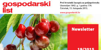 Newsletter 19/2015