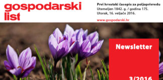 Newsletter 3/2016