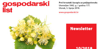 Newsletter 10/2018