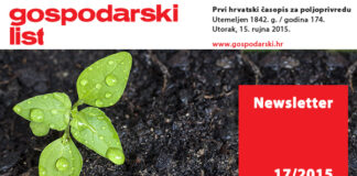 Newsletter 17/2015