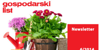 Newsletter 6/2014