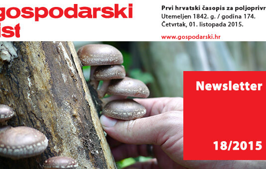Newsletter 18/2015