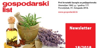 Newsletter 18/2018