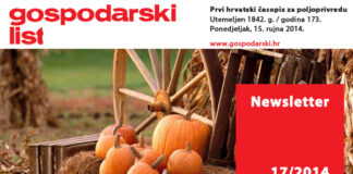 Newsletter 17/2014