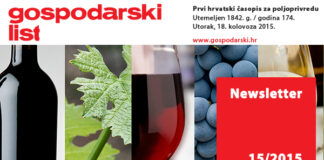 Newsletter 15/2015