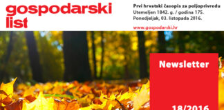 Newsletter 18/2016