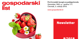 Newsletter 8/2018