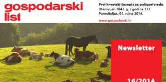 Newsletter 16/2014