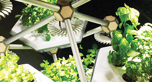 Hexagro farma – revolucionarni vrt u zatvorenom prostoru
