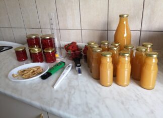Uspješno završen besplatan tečaj prerade i dorade voća