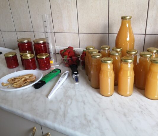 Uspješno završen besplatan tečaj prerade i dorade voća