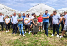 PROSVJED PODRAVSKIH POVRTLARA U ROGOVCU: Uvoz ruši cijene, država gleda kako domaće povrće propada