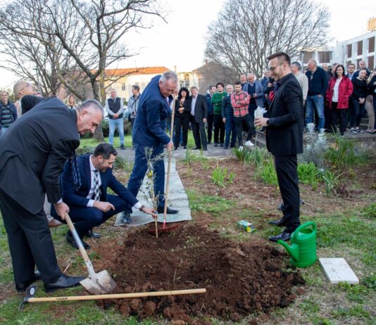 Otvoren 26. Noćnjak 26. noćnjak 2024 sadnja spomen masline