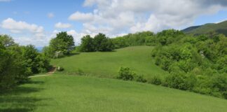 kategorizacija oranica natura 2000 krški pašnjak