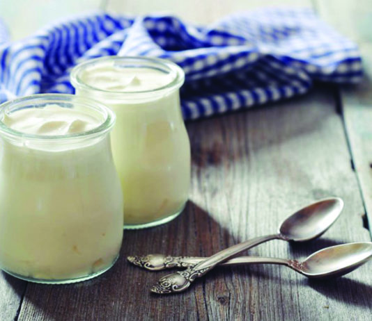 proizvodnja jogurta jogurt