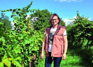 Dobar savjet(nik) zlata vrijedi – Josipa Miličić