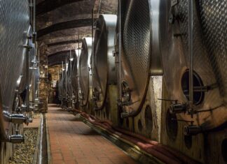 Objavljen novi natječaj za Ulaganje u vinarije i marketing vina