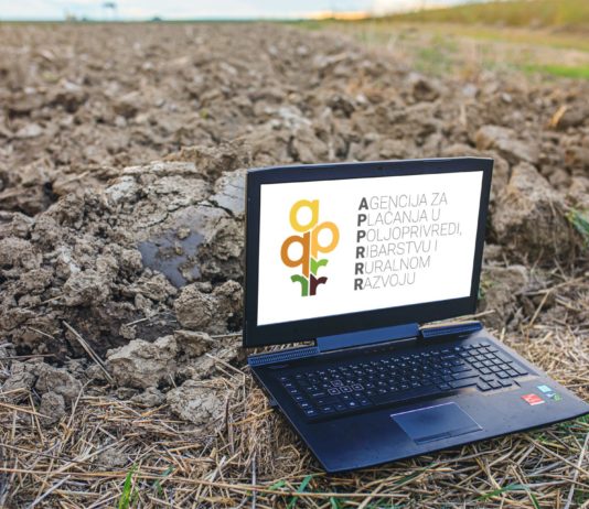 potpora za pružanje savjetodavnih usluga