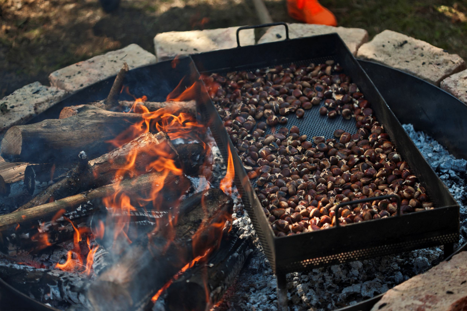 Gastronomska ponuda udruga na Zelinskoj kestenijadi
