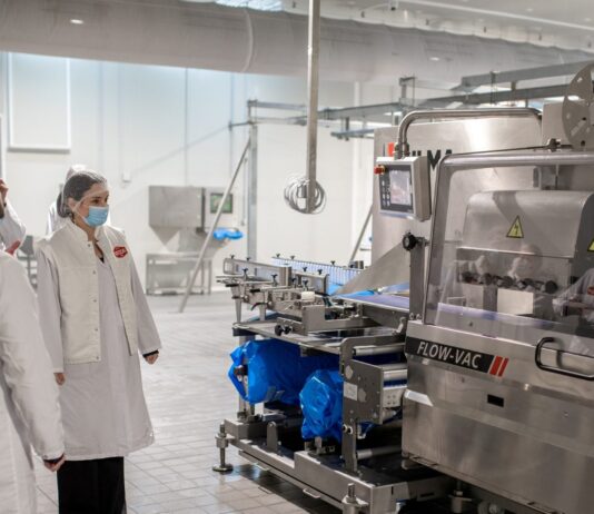 Vajda raste i nastavlja s investicijama!