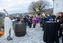Proslava Martinja u Zagrebačkoj županiji obilježena mnogobrojnim manifestacijama