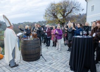 Proslava Martinja u Zagrebačkoj županiji obilježena mnogobrojnim manifestacijama