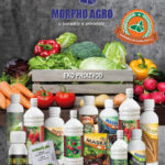 morpho agro