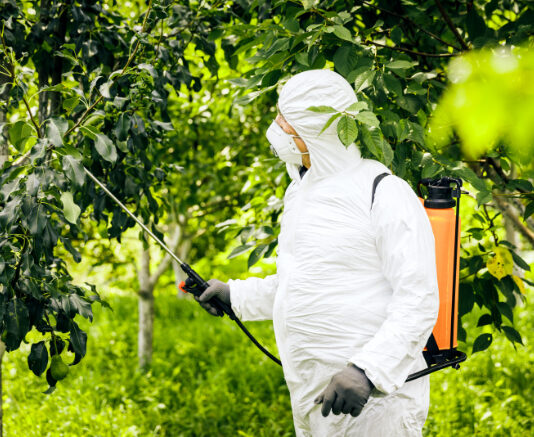 Zaštita manjih voćnjaka u amaterskoj i ekološkoj primjeni