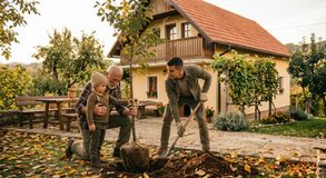Kako ozeleniti okućnicu i rashladiti dvorište za ljetne vrućine