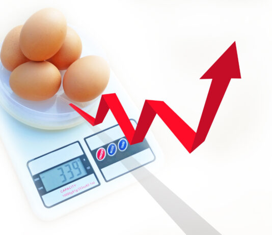 Značajan porast uvoza konzumnih jaja