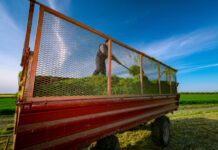 Spremanje travne silaže