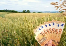 Kako izračunati profitabilnost poljoprivredne proizvodnje?