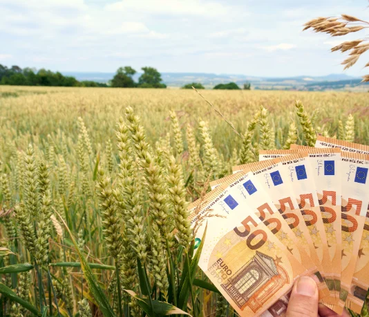 Kako izračunati profitabilnost poljoprivredne proizvodnje?