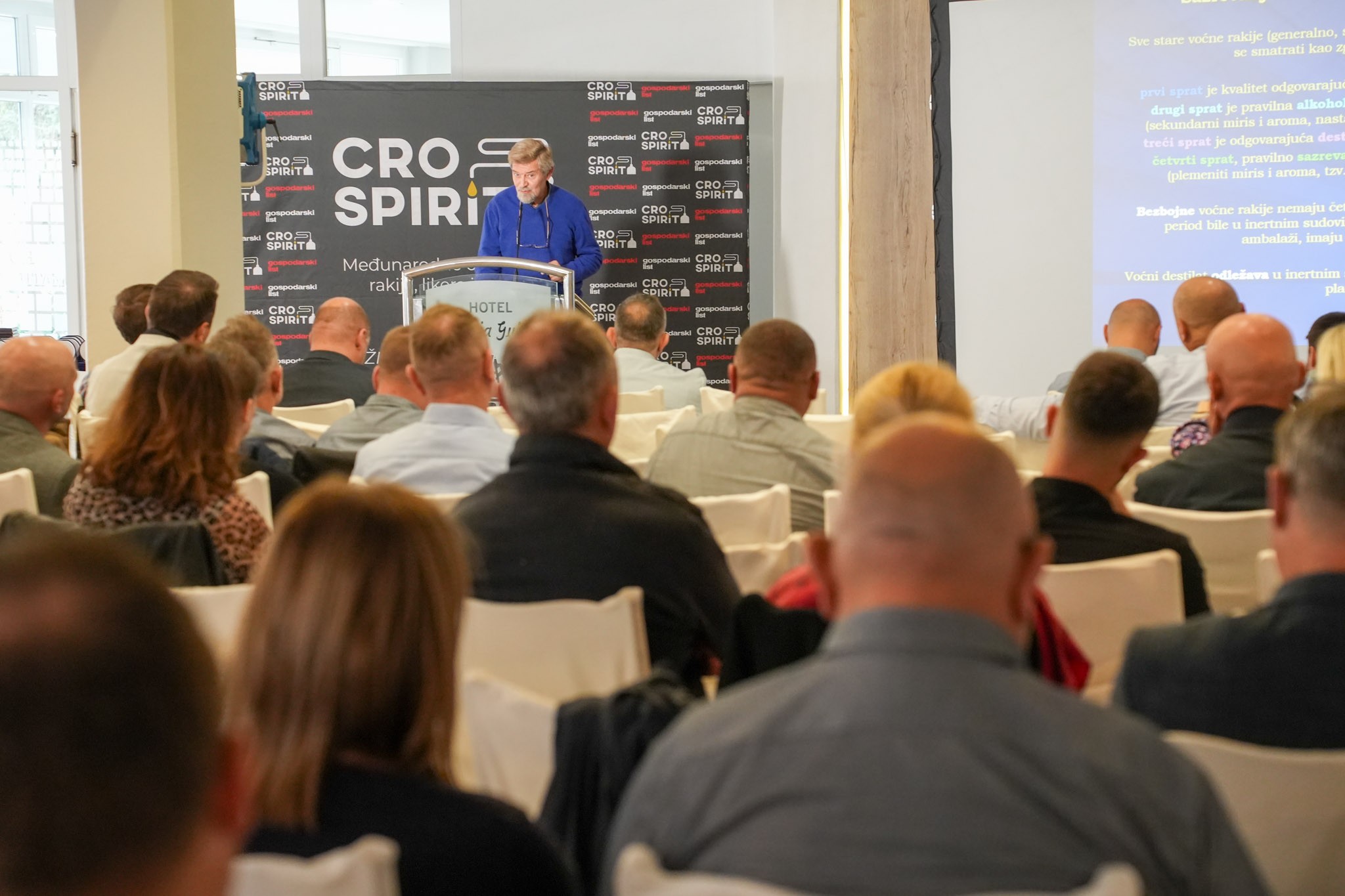 Prof. dr. sc. Ninoslav Nikićević na Crospirit konferenciji